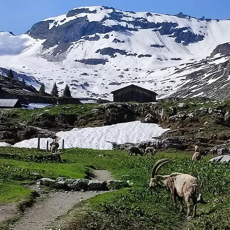 Le Refuge Des Trolls