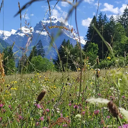 Le Refuge Des Trolls