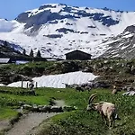 Le Refuge Des Trolls